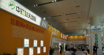 匠心筑展，茶韻飄香 福州展覽搭建工廠的一站式專(zhuān)業(yè)服務(wù)